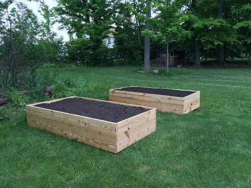 raised garden beds, vegetable garden