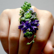 Do not reuse Ring Corsage Fiona Perry Floral Design