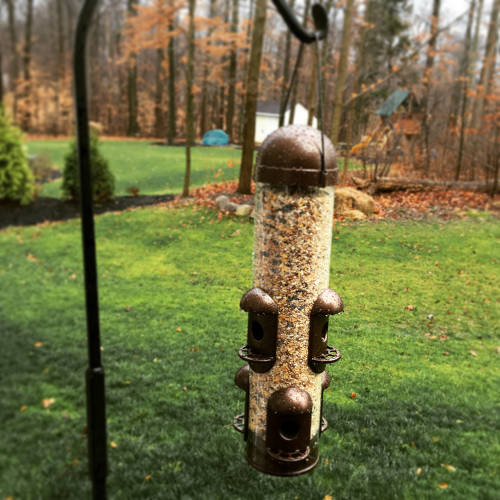 CedarWorks Plastic Squirrel-Resistant Hopper Bird Feeder