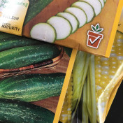 Where will I plant these cucumber, squash and corn seeds? In our new raised beds.