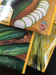 Where will I plant these cucumber, squash and corn seeds? In our new raised beds. 