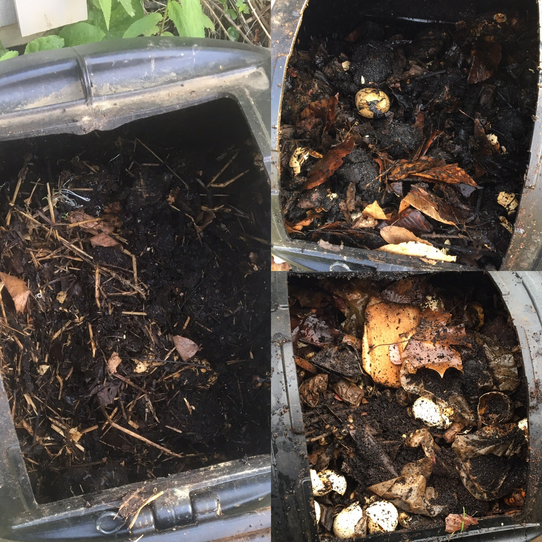  My compost July 21 (left), on April 15 (top) and December 26 (bottom).